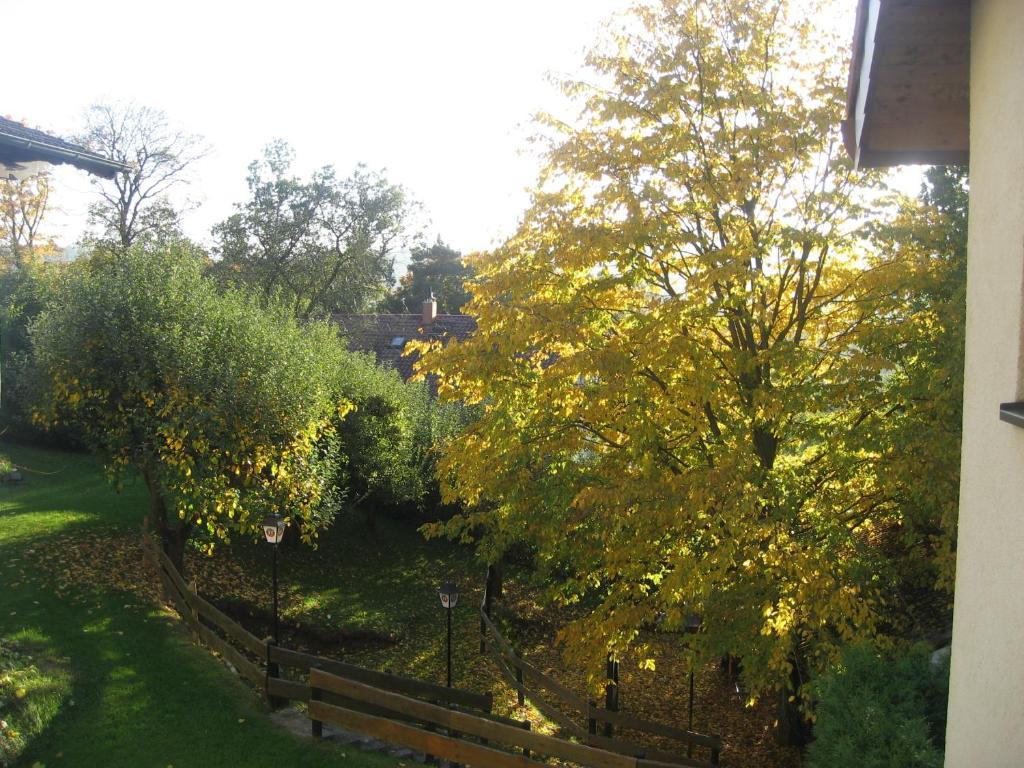 Hotel Landhaus Silbertanne Rotenburg an der Fulda Εξωτερικό φωτογραφία
